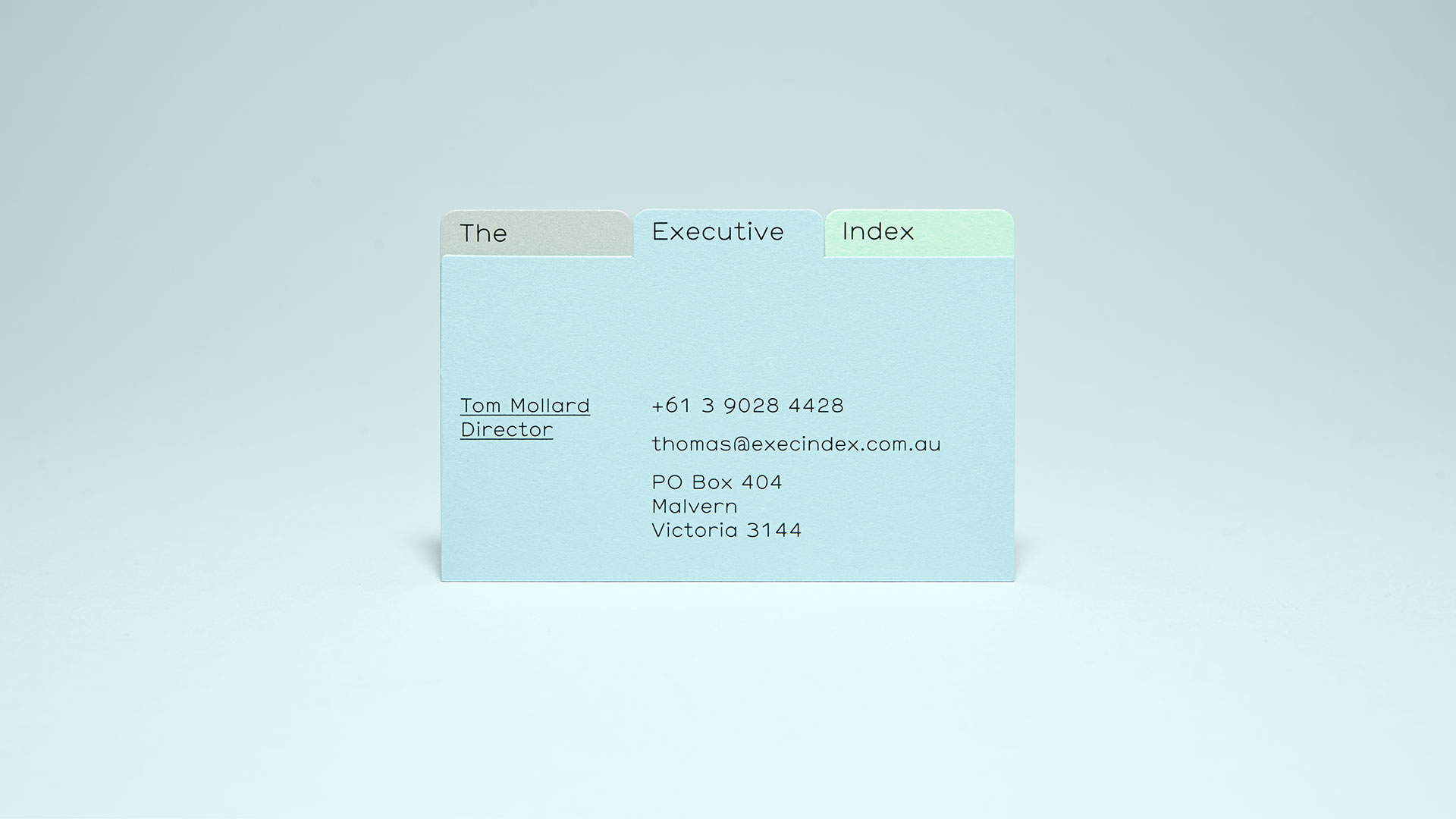 Self-titled The Executive Index Brand Identity Business Card Blue