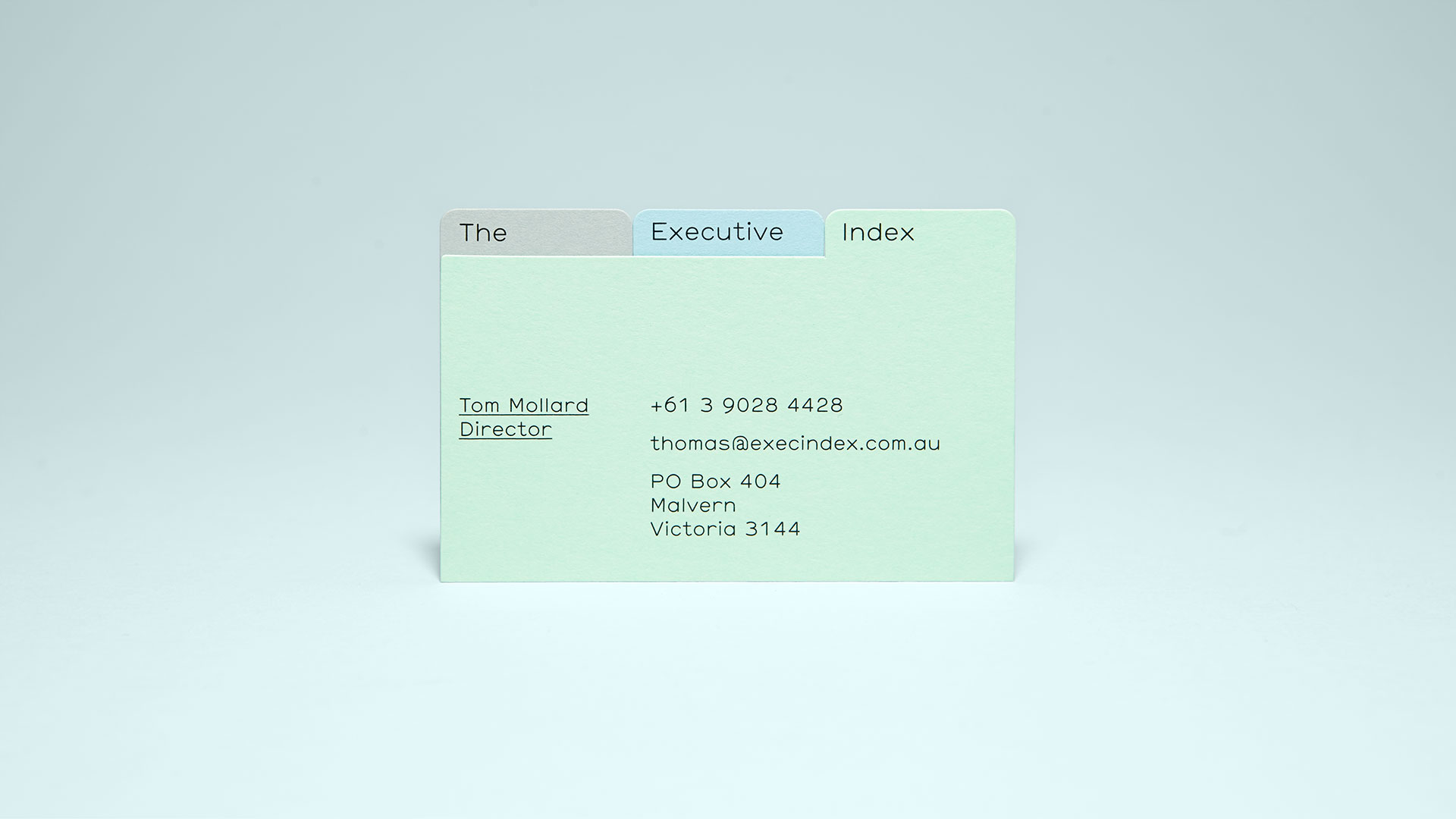 Self-titled The Executive Index Brand Identity Business Card Green