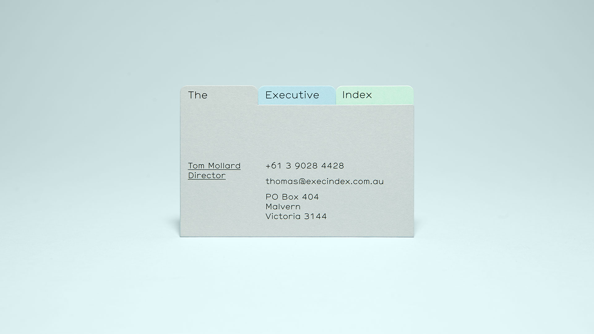Self-titled The Executive Index Brand Identity Business Card Grey