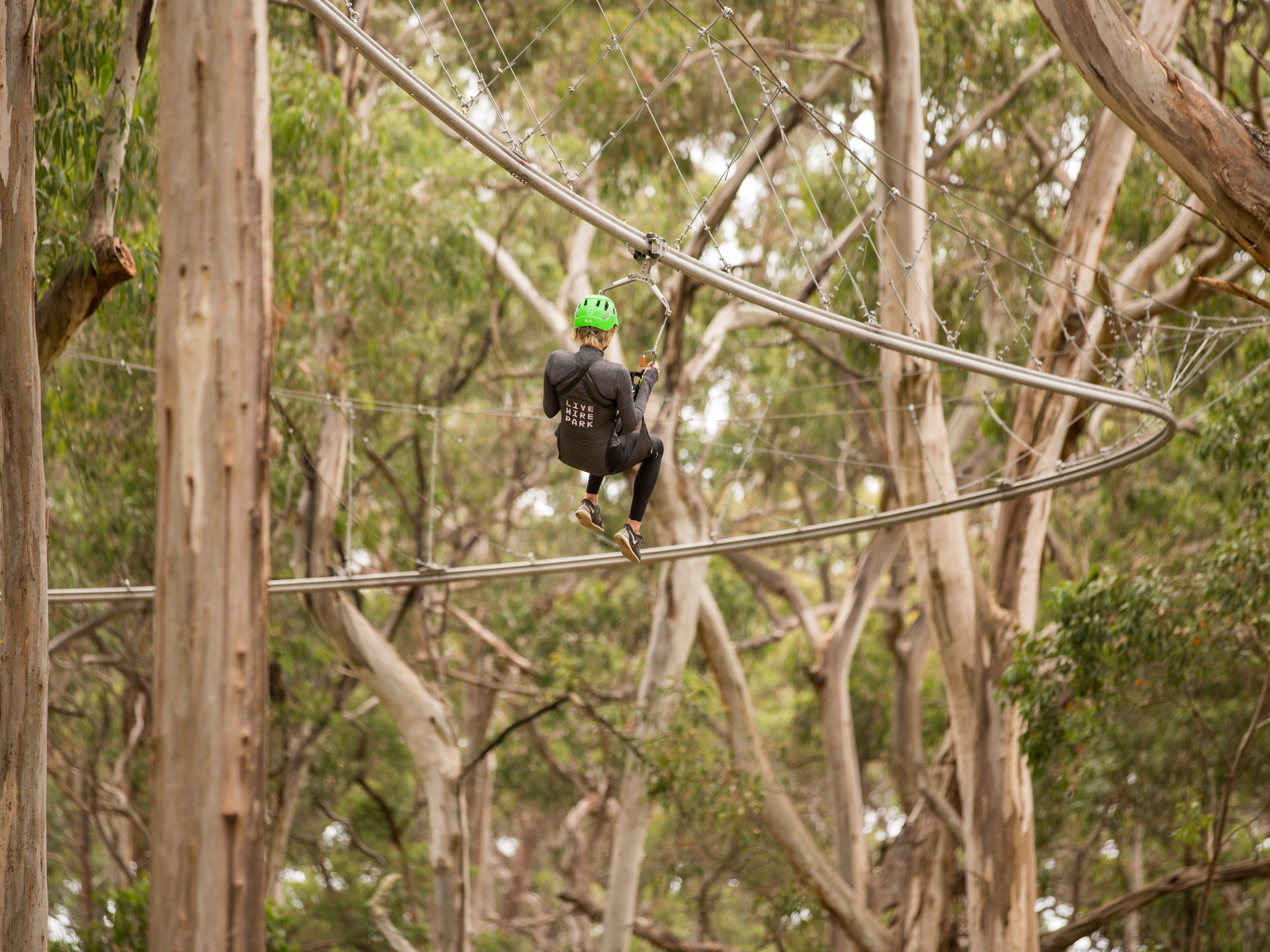Self-titled Live Wire Park Brand Identity Photography Shockwave Zip Coaster