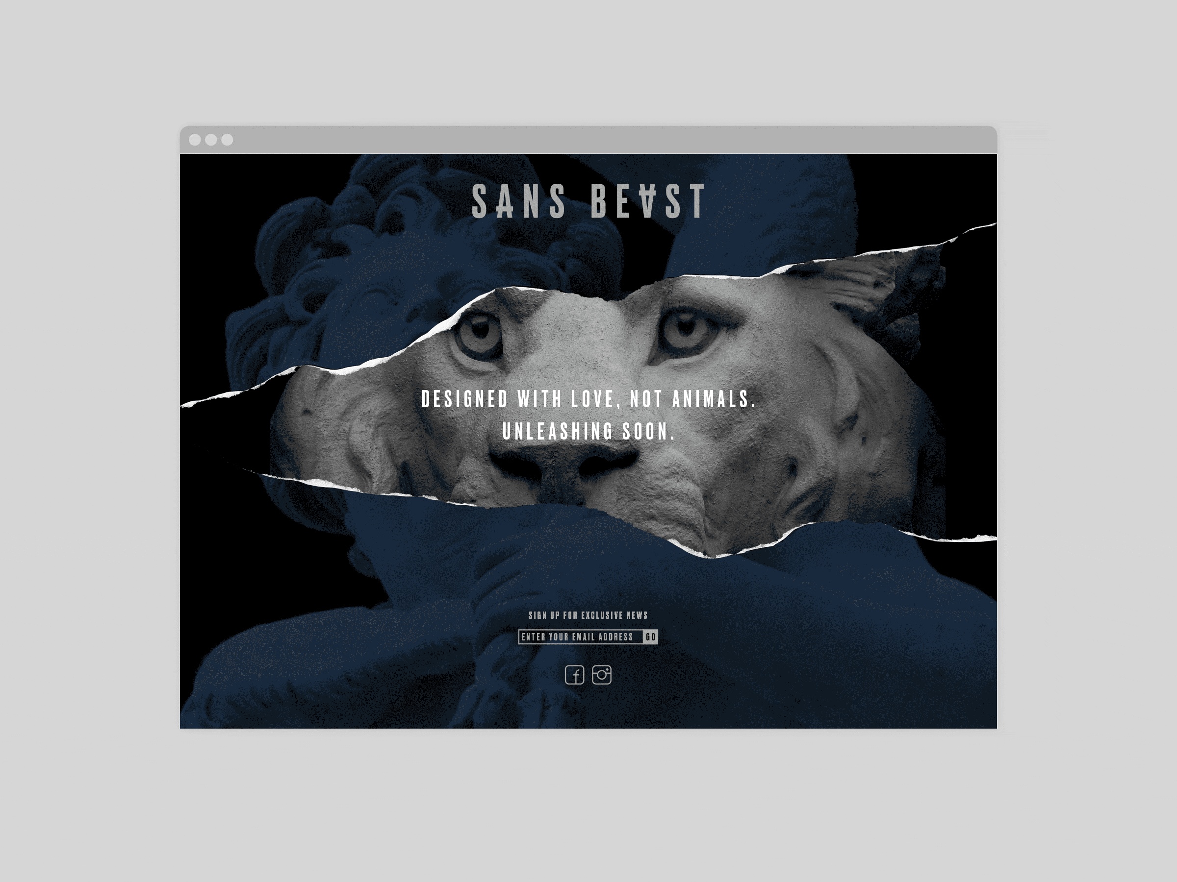 Self-titled Sans Beast Brand Identity Landing Page 2