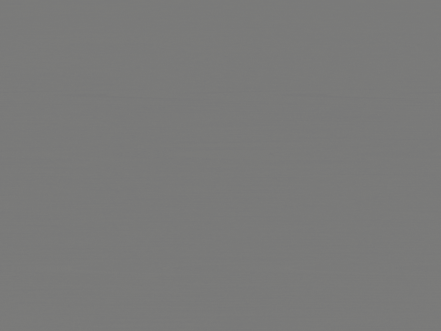 Self-titled Fortem Brand Identity Logoanimation