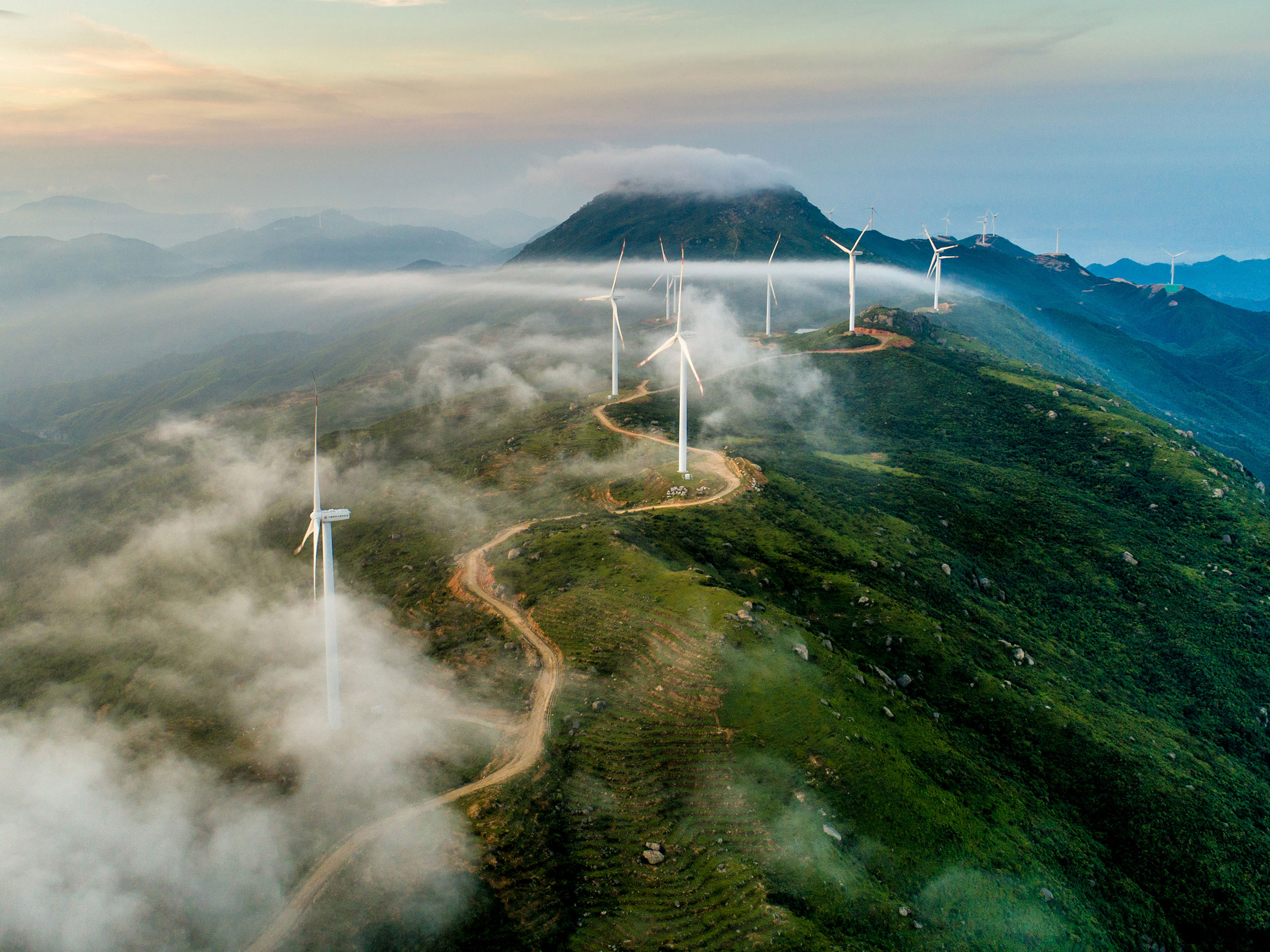 Self-titled Sharecat Wind Turbines 3