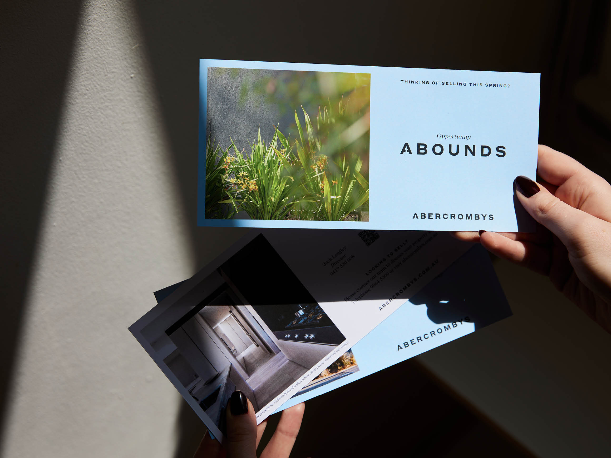 Self-titled Abercrombys Brand Dl Flyers