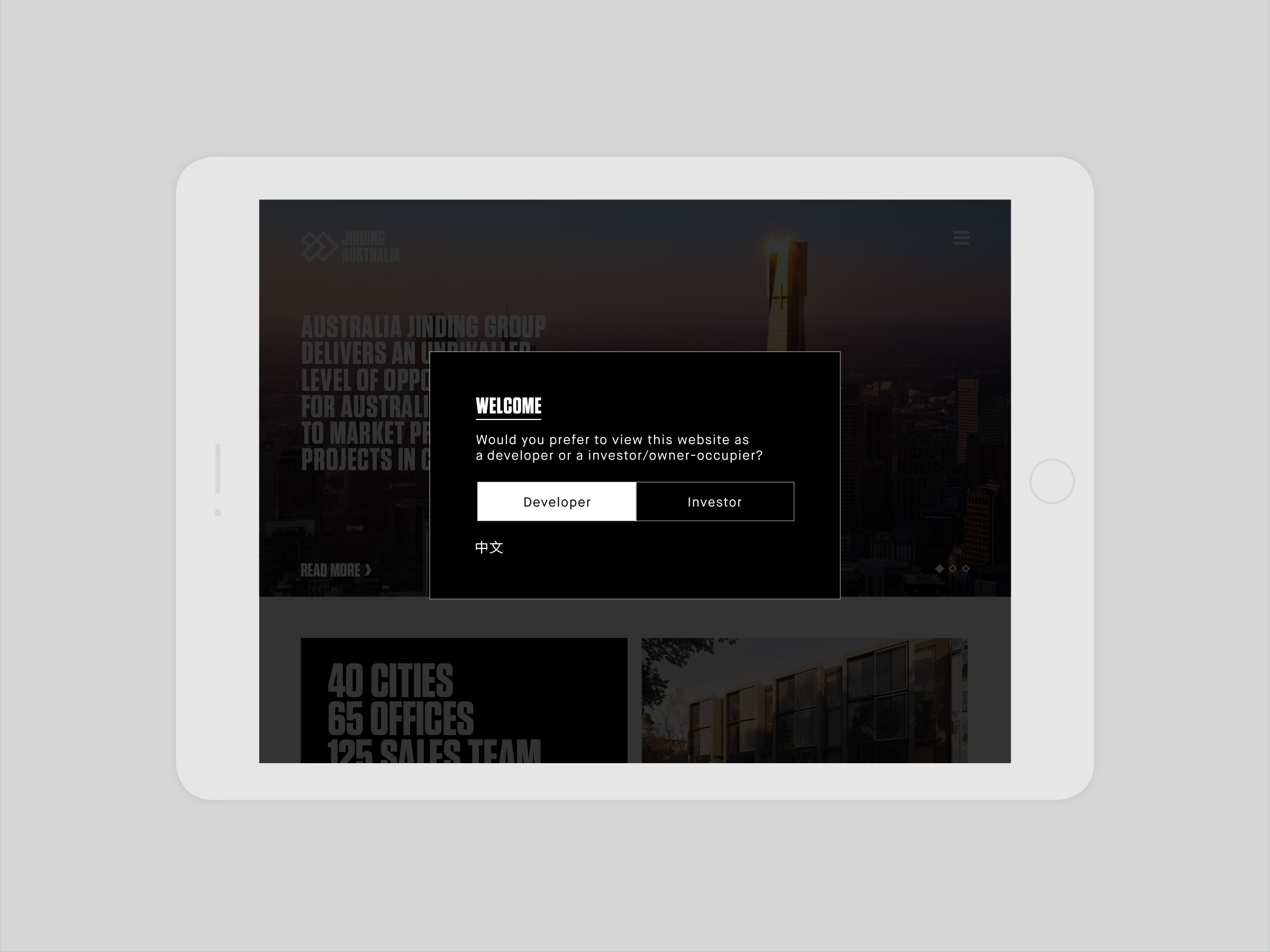 Self Titled Jinding Brand Identity Website Developer 01