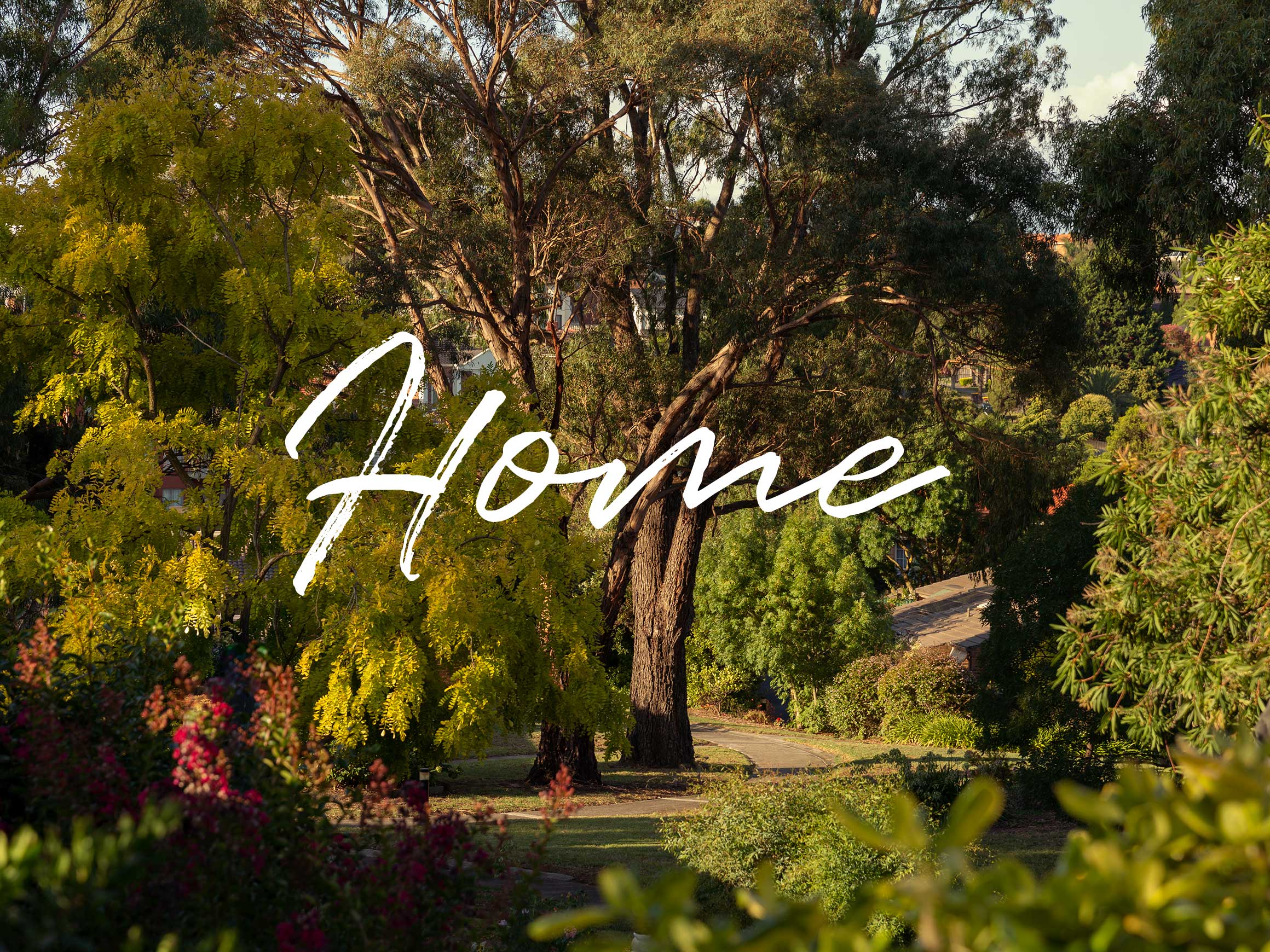 Self-titled Website Case Study Cumberland View Home