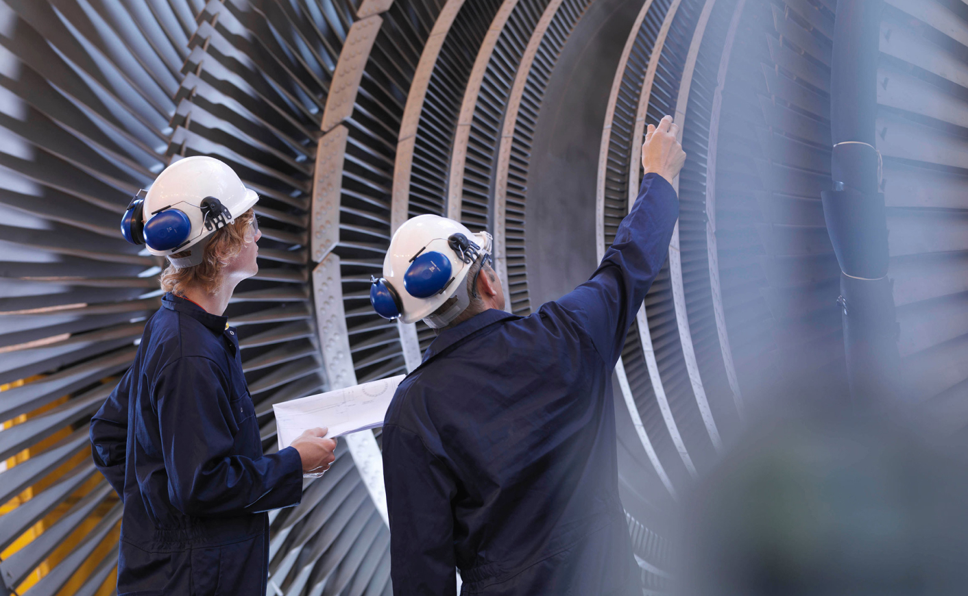 Case Study Sharecat 3