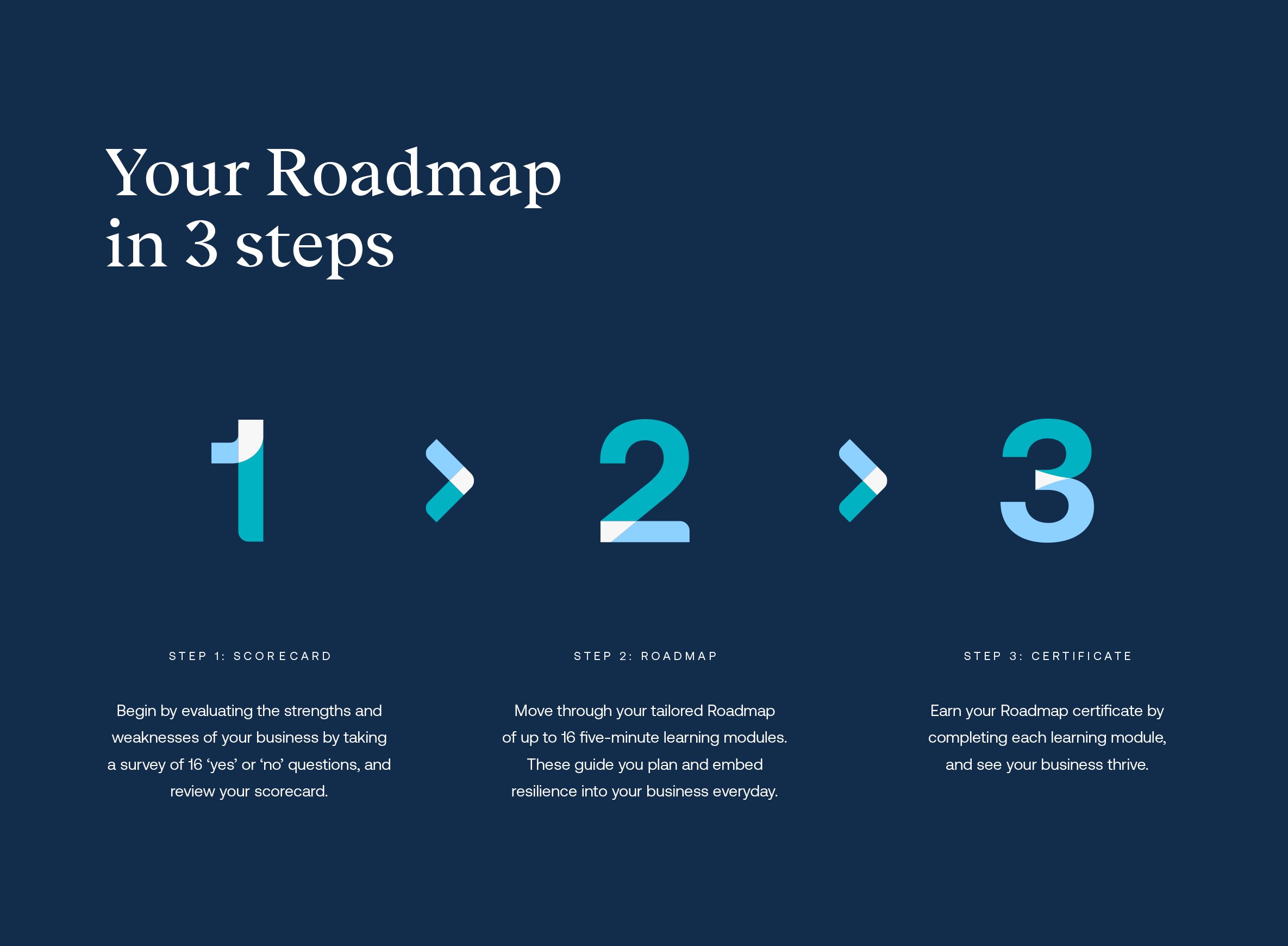 Resilientready Roadmap Steps3 1