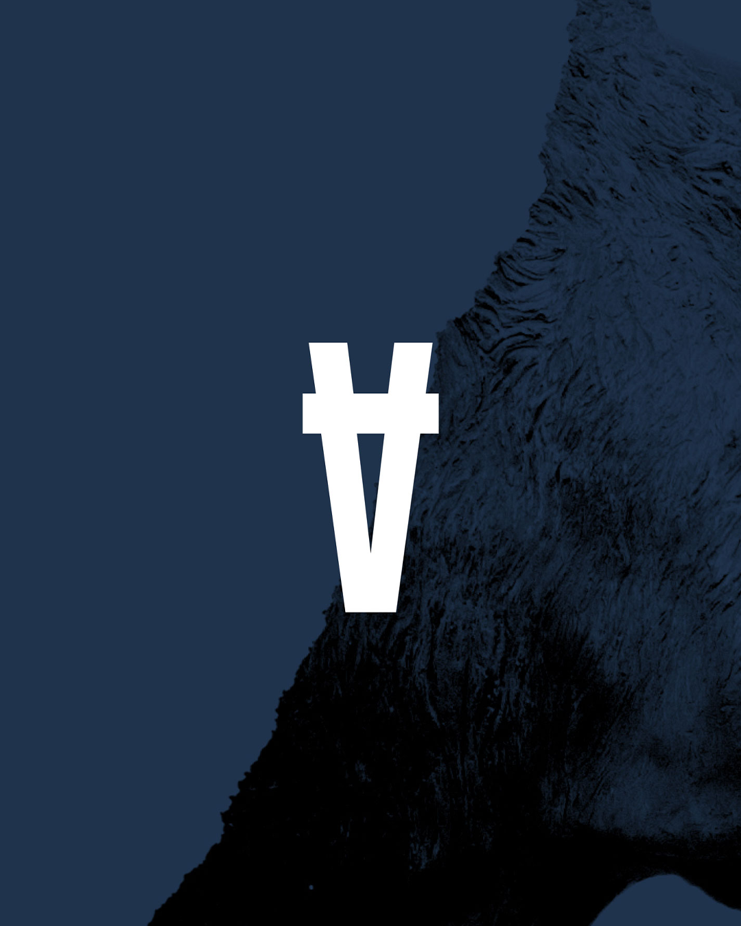 Sans Beast Mobile Hero