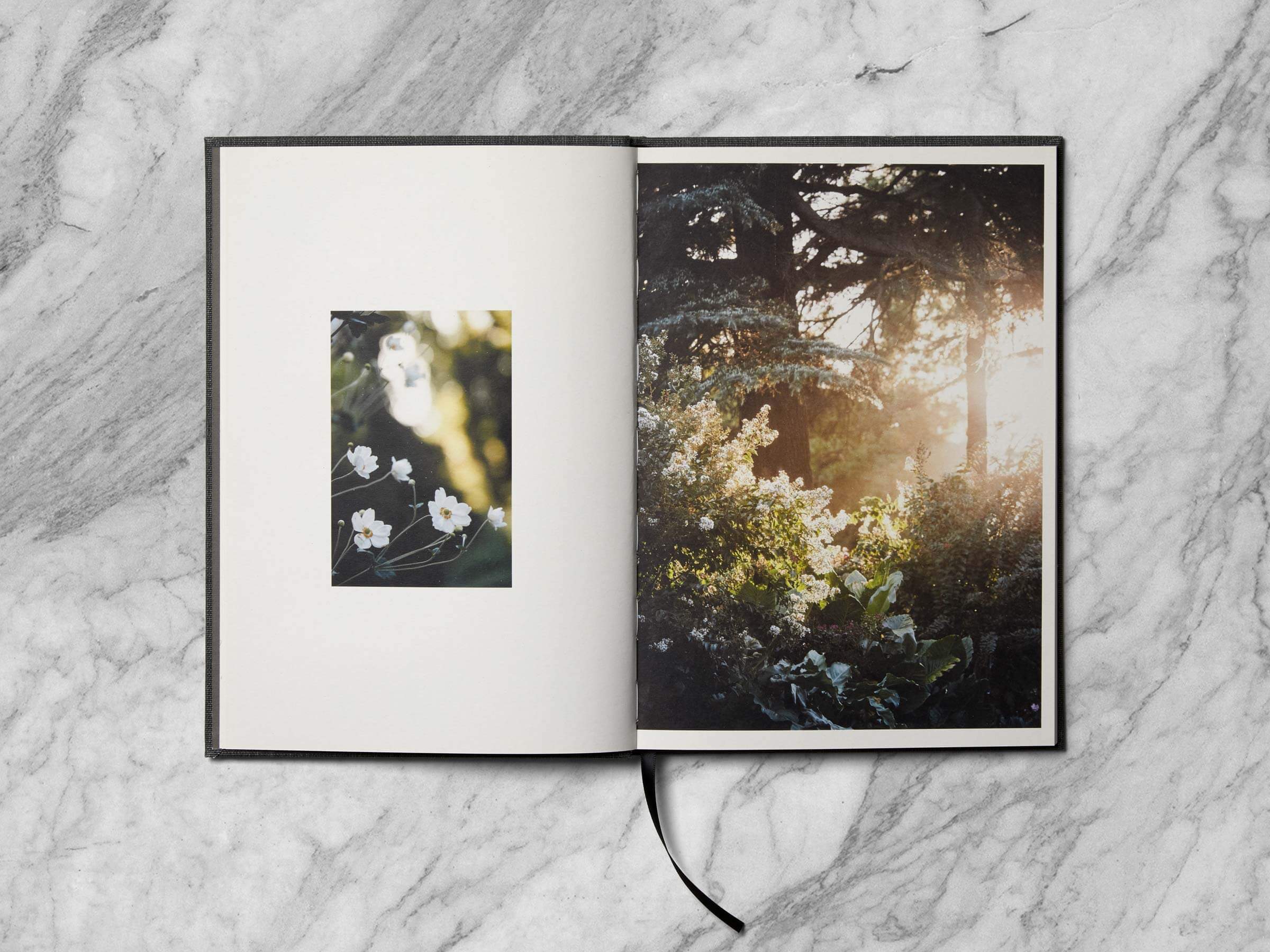 Self-titled Island House Brochure Spread 3