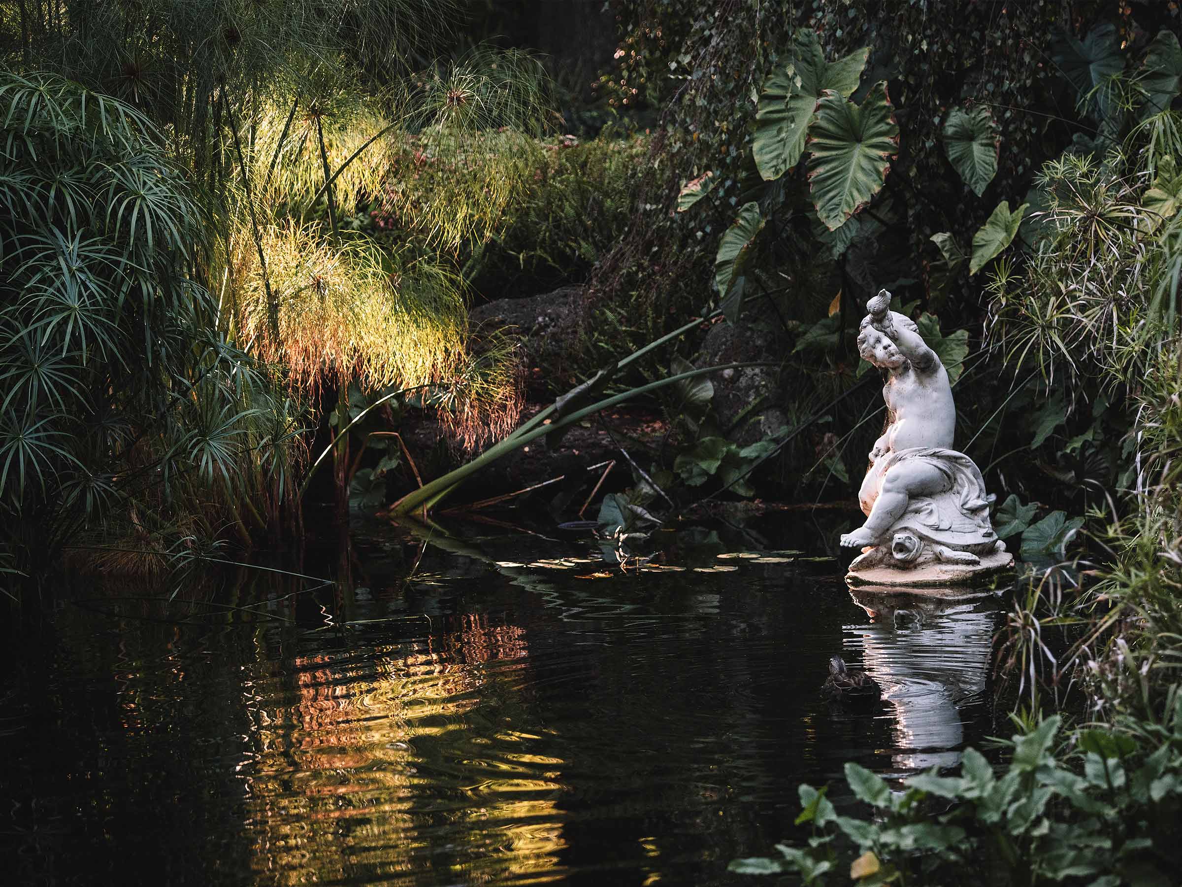 Self-titled Island House Lifestyle1