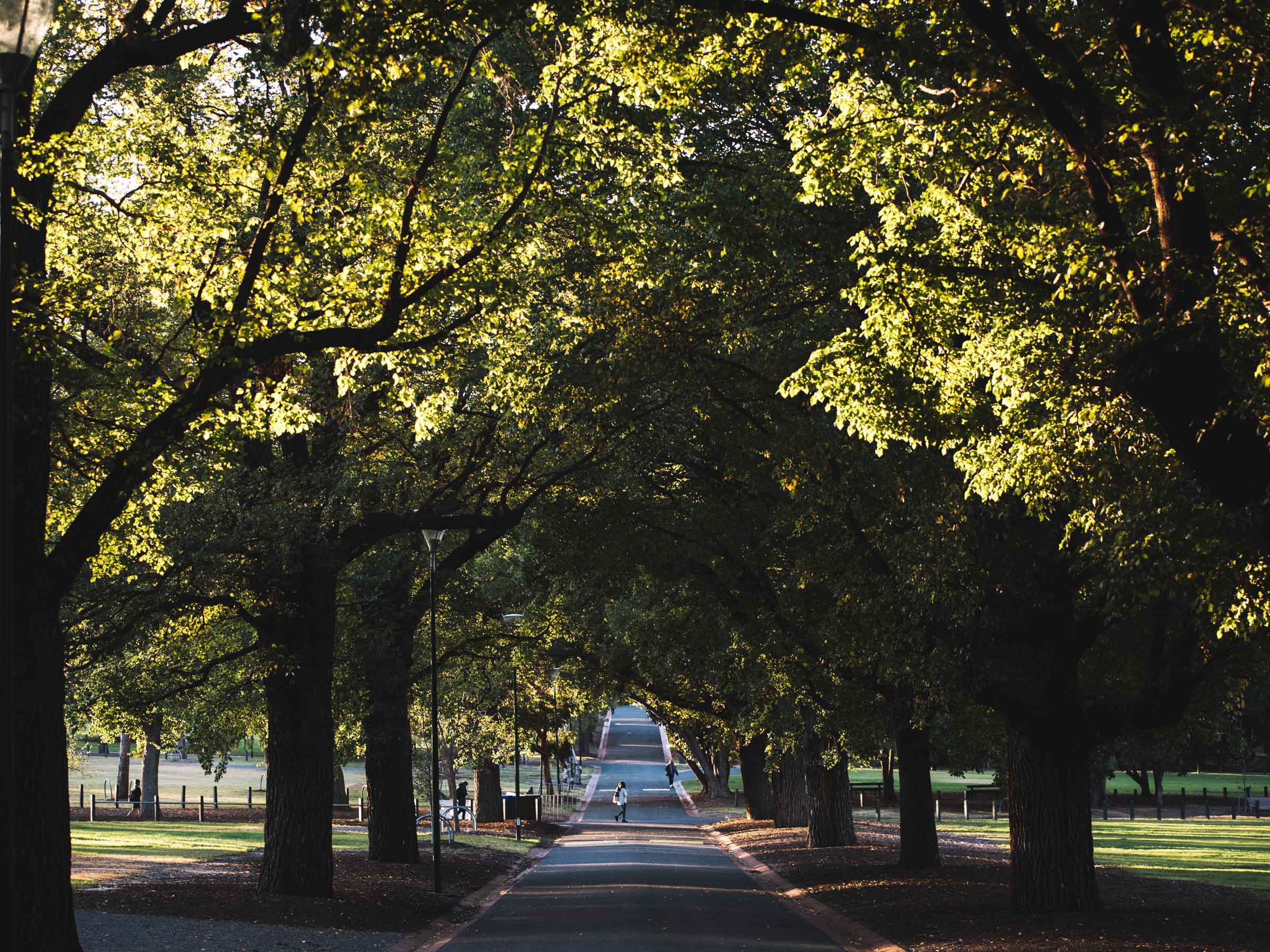 Self-titled Island House Lifestyle3