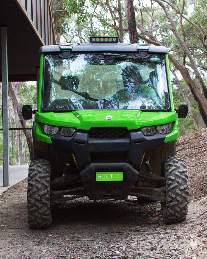 Self-titled Live Wire Park Brand Identity Buggy1