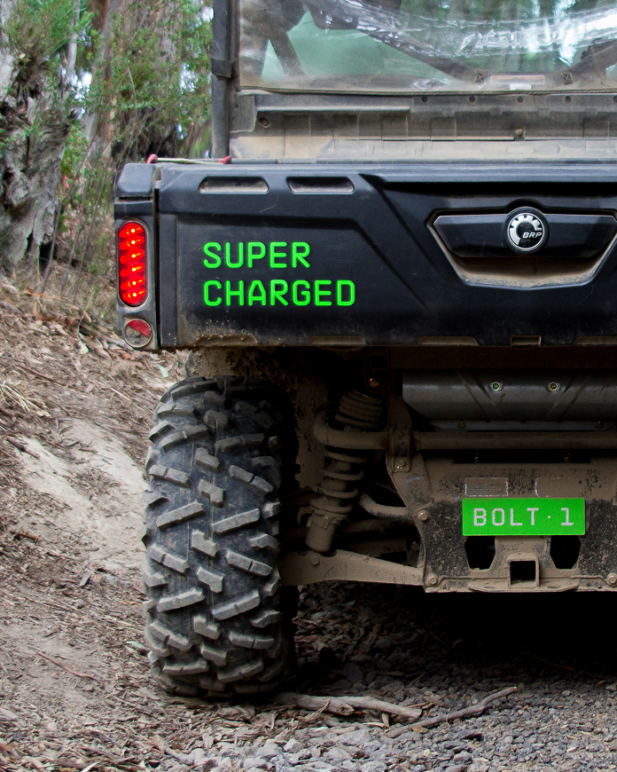 Self-titled Live Wire Park Brand Identity Buggy2