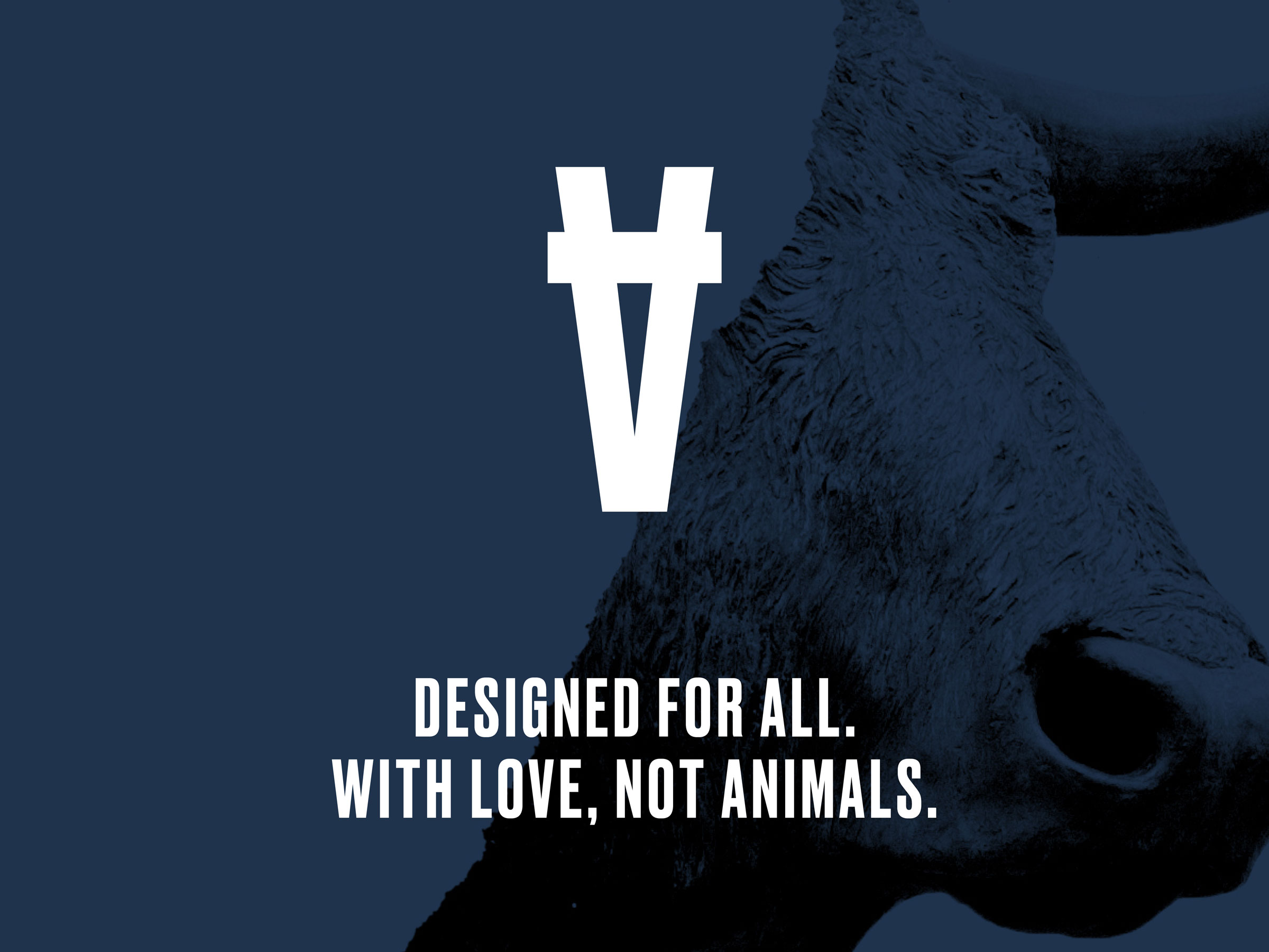 Self-titled Sans Beast Brand Identity Monogram Messaging