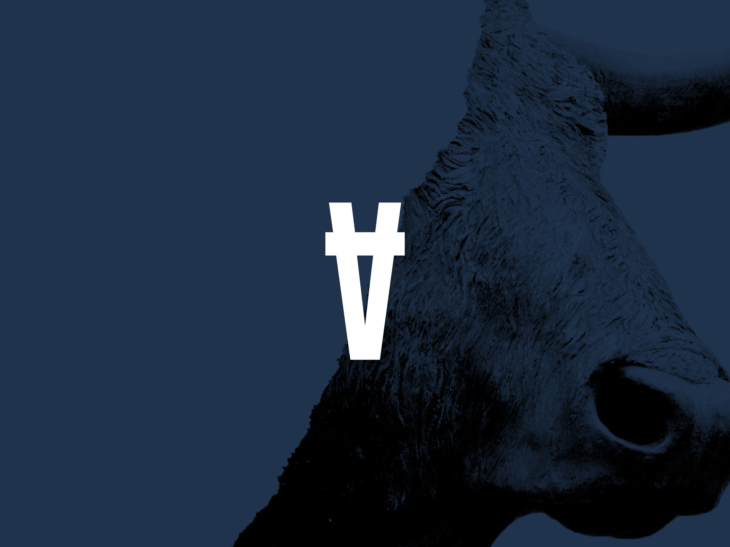 Self-titled Sans Beast Brand Identity Monogram