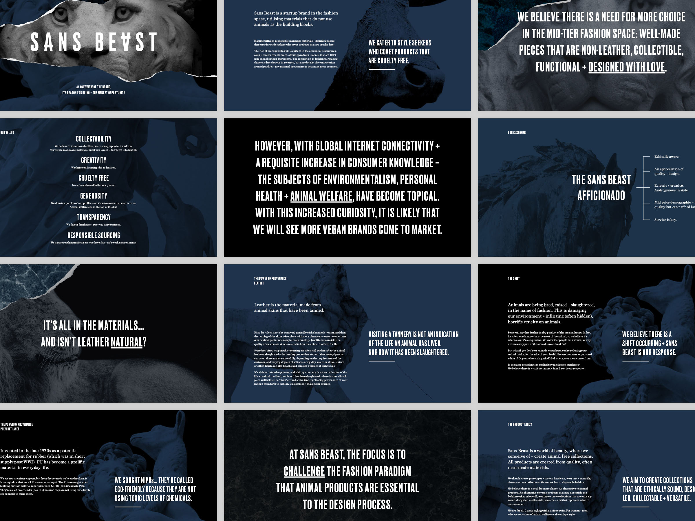 Self-titled Sans Beast Brand Identity Pitch Deck