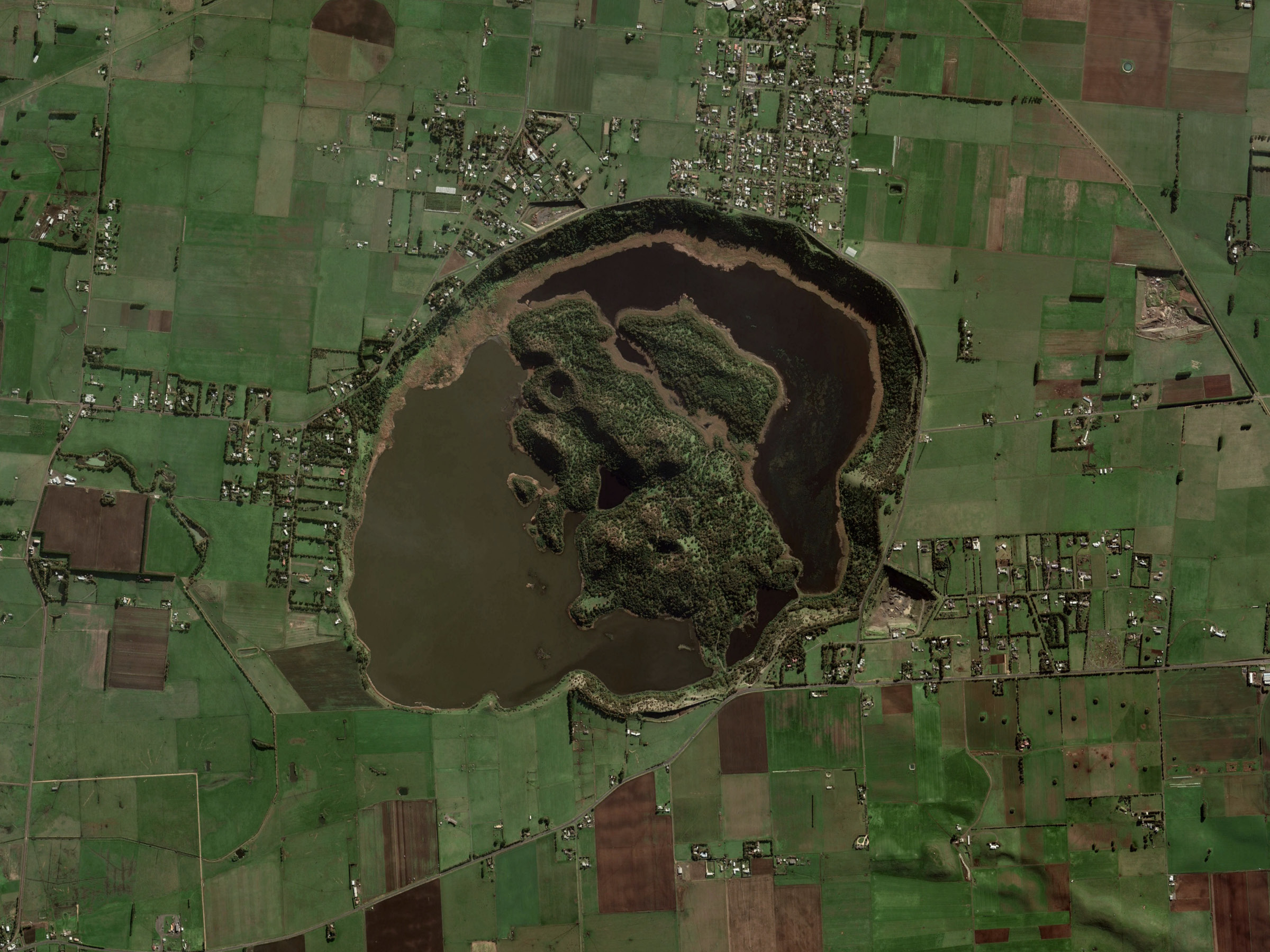 Self-titled Wgth Brand Identity Icon 03