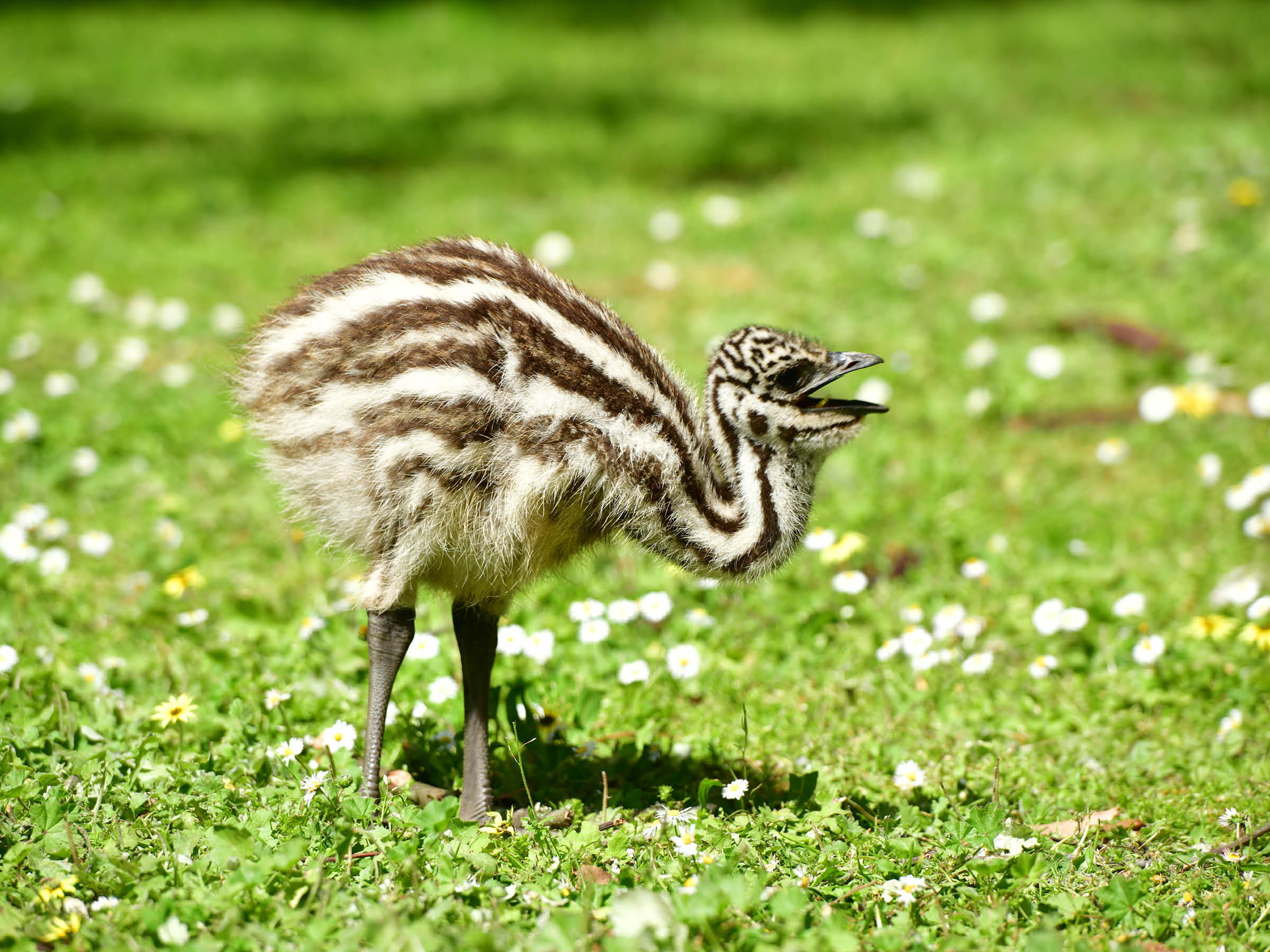 Self-titled Wgth Brand Identity Photography 02