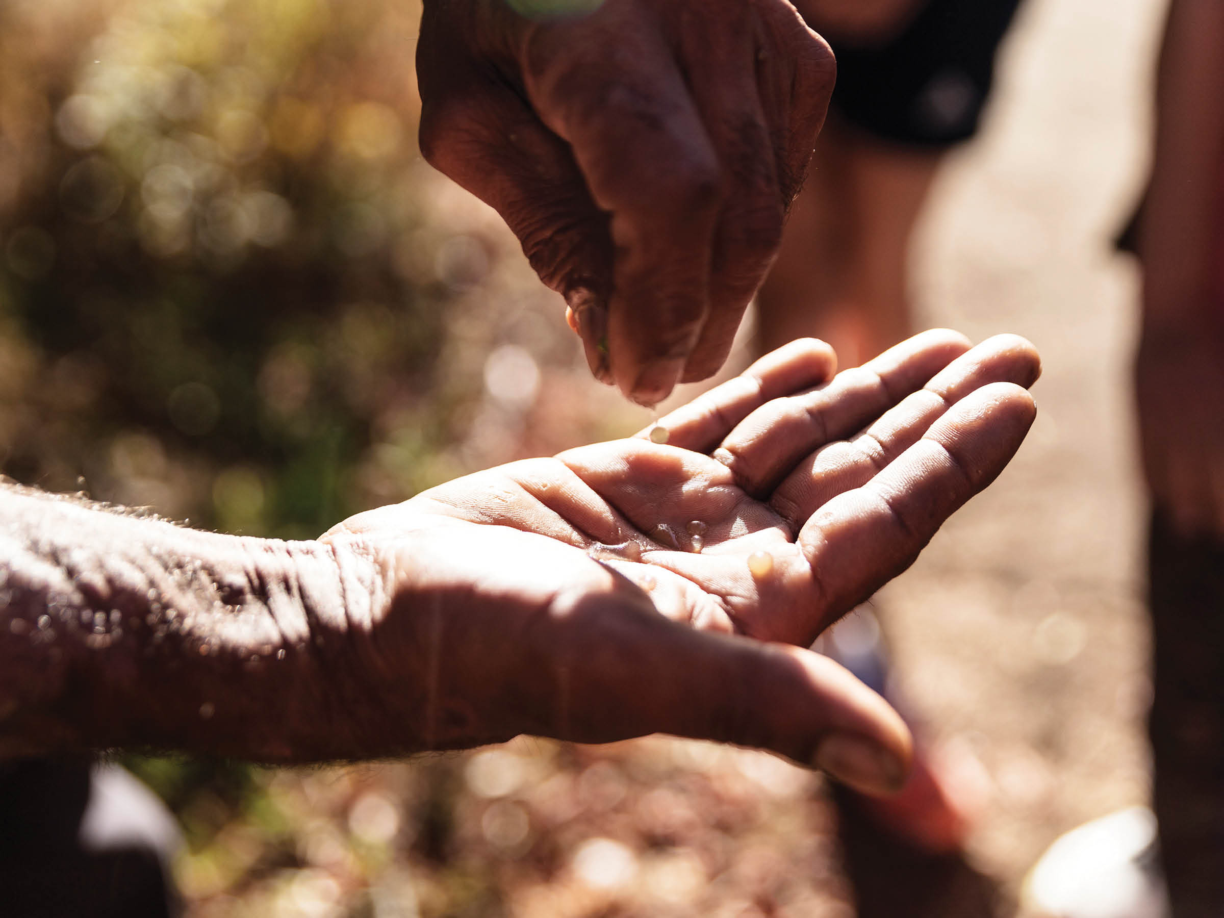 Self-titled Wgth Brand Identity Photography 03