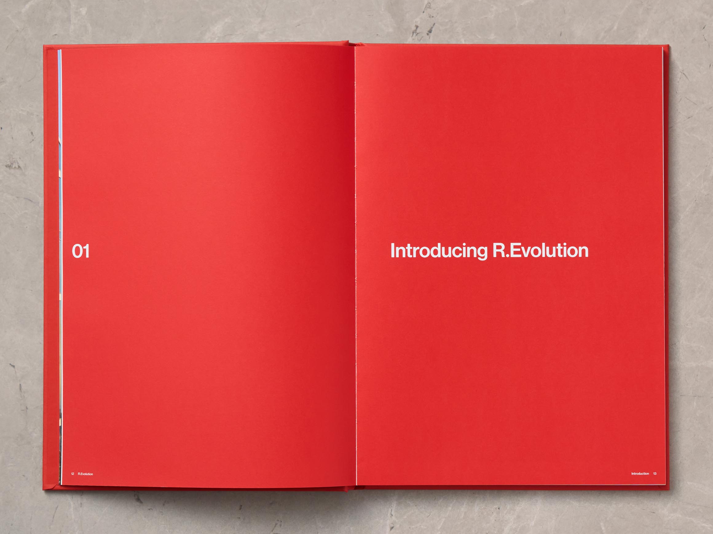 Self-titled R Evolution Marketing Brochure 4